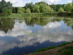 rybník u Křemže